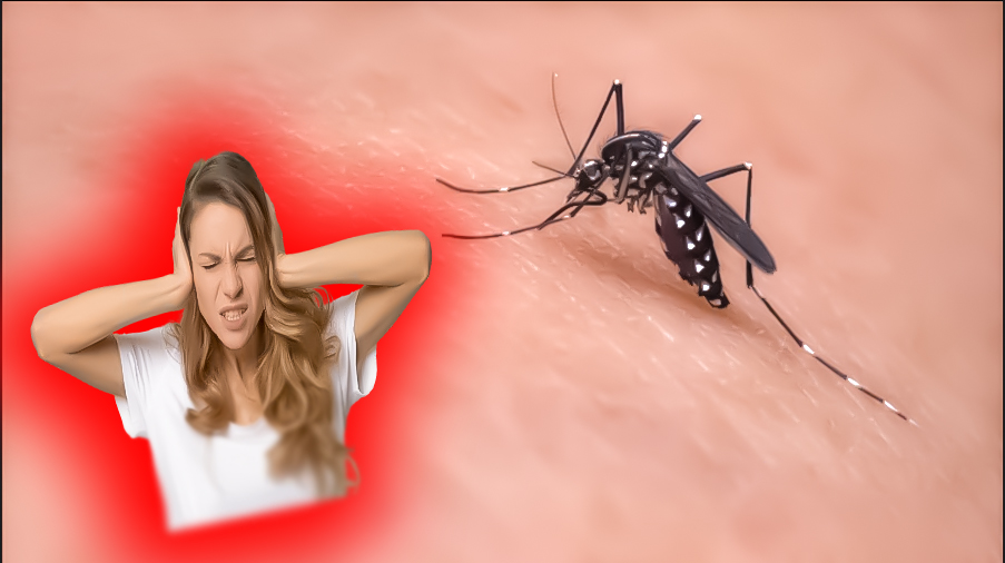 Vızıldayan Sivrisinek Midir, Yoksa İnsan&nbsp;Mı­?